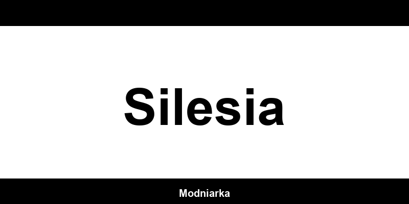 Kontakt MANGO – Sklep w Silesia