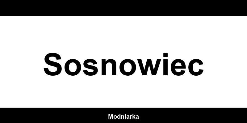 Kontakt MANGO – Sklep w Sosnowiec
